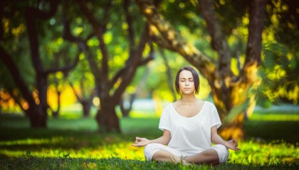 爱游戏-凯恩绝杀定乾坤，TL稳赢之战为何成全网焦点？